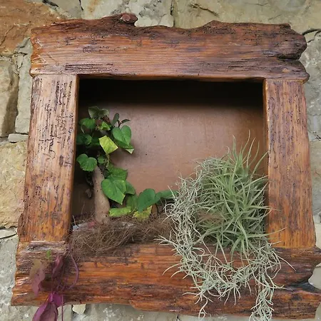 Noz Por Ca... Turismo Em Espaco Rural