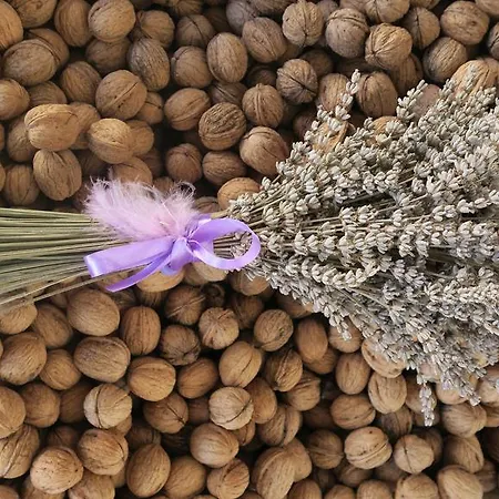 Feriegård Noz Por Ca... Turismo Em Espaco Rural *