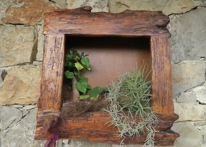 Noz Por Ca... Turismo Em Espaco Rural