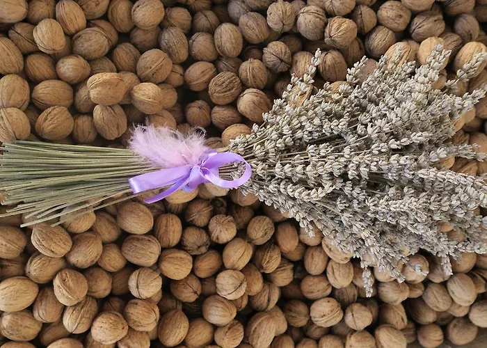 Κατάλυμα σε φάρμα Noz Por Ca... Turismo Em Espaco Rural *